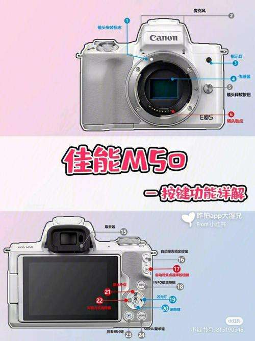 数码相机各键使用方法(数码相机按钮入门教程)